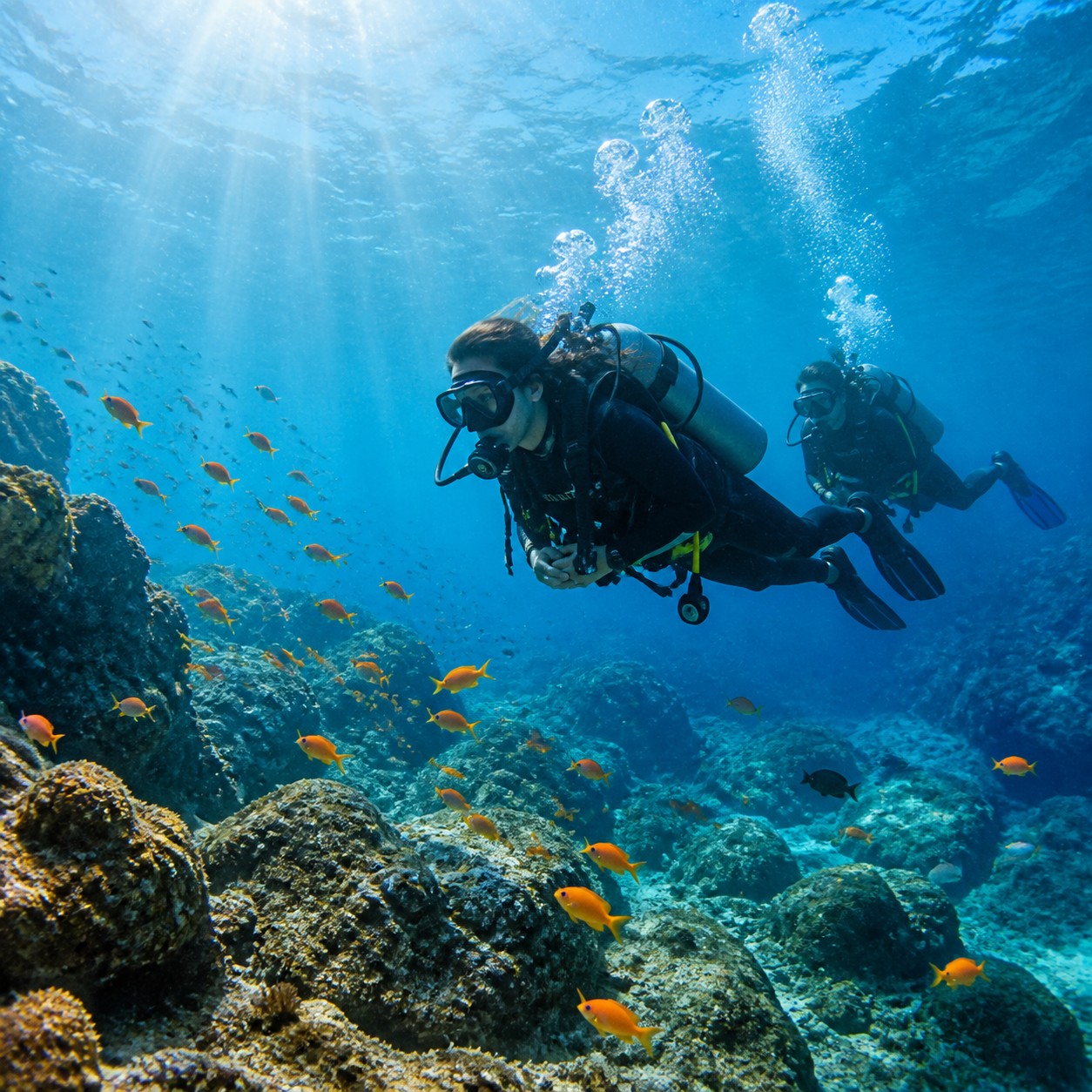 Diving